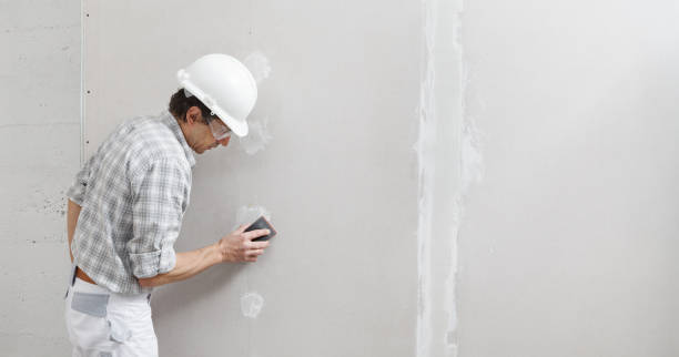 Best Black Mold Removal  in Joseph City, AZ