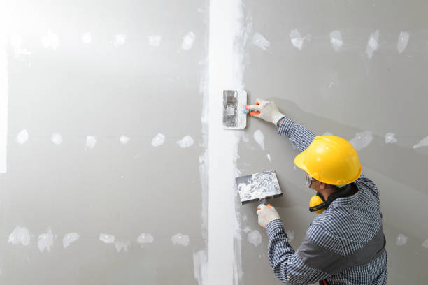 Best Basement Mold Removal  in Joseph City, AZ