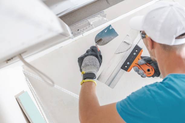 Best Asbestos and Lead Testing During Mold Inspection  in Joseph City, AZ